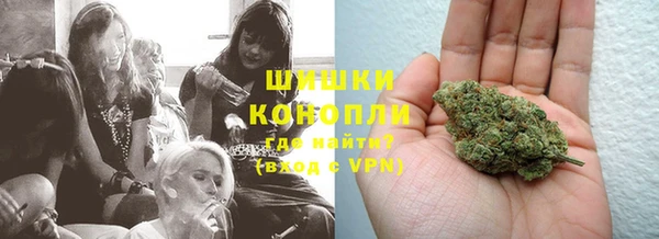 сатива Сосновый Бор