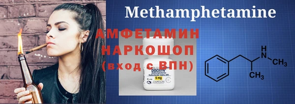 сатива Сосновый Бор