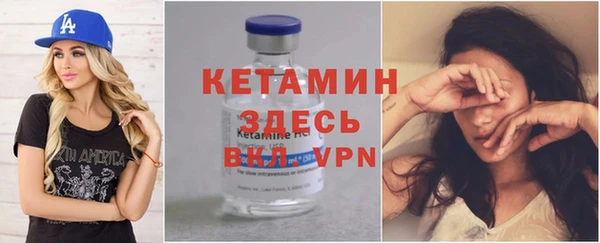 сатива Сосновый Бор
