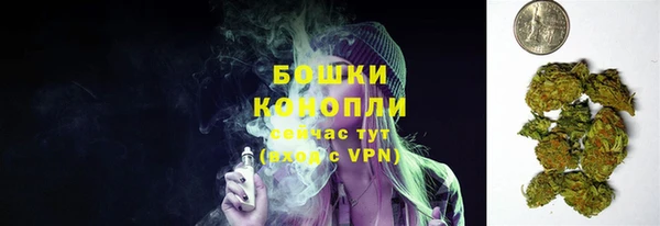 сатива Сосновый Бор