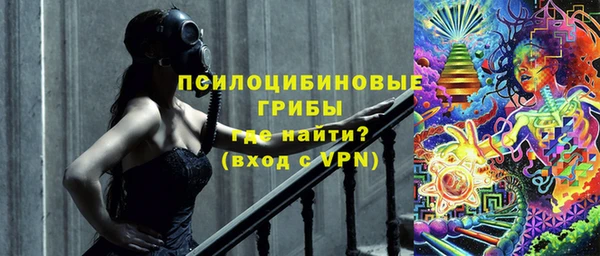 сатива Сосновый Бор