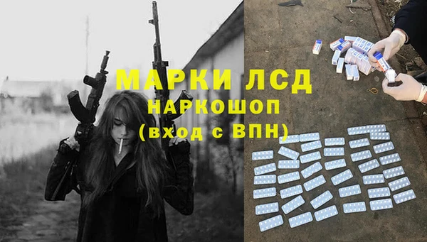сатива Сосновый Бор