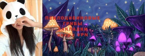 сатива Сосновый Бор