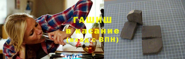 сатива Сосновый Бор